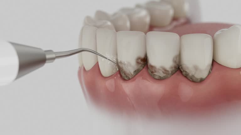 Reliable Dental contractor in Mar-Mac, NC by Dentist Open Now